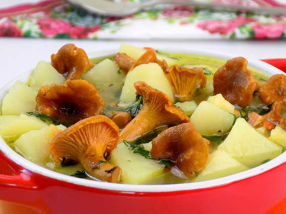 zupa z kurek z ziemniakami i koperkiem - zupa kurkowa przepis 