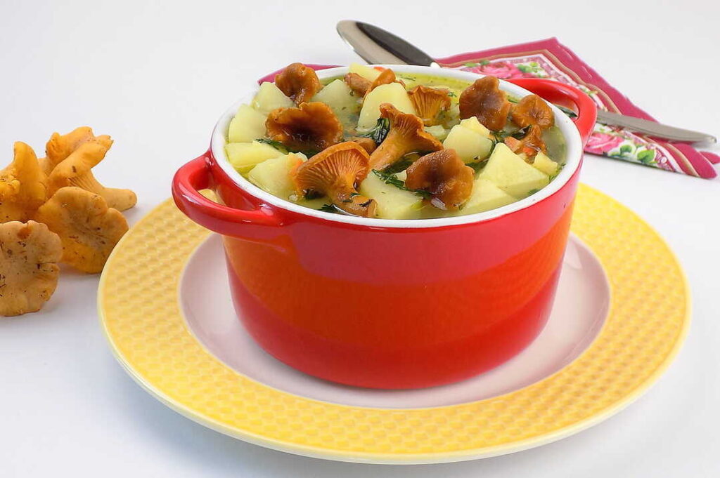 zupa z kurek z ziemniakami i koperkiem - zupa kurkowa przepis 
